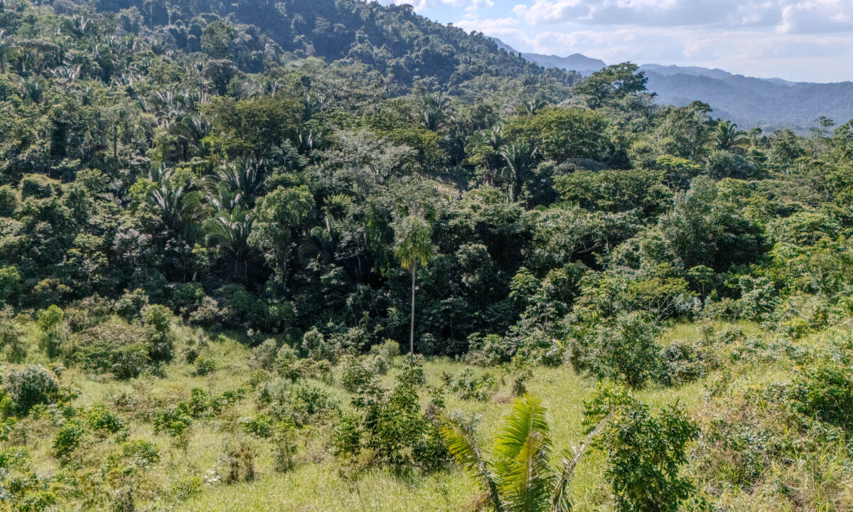 Land20for20Sale20Hummingbird20Highway20Cayo20Belize2015