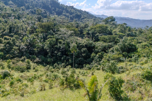 Land20for20Sale20Hummingbird20Highway20Cayo20Belize2015