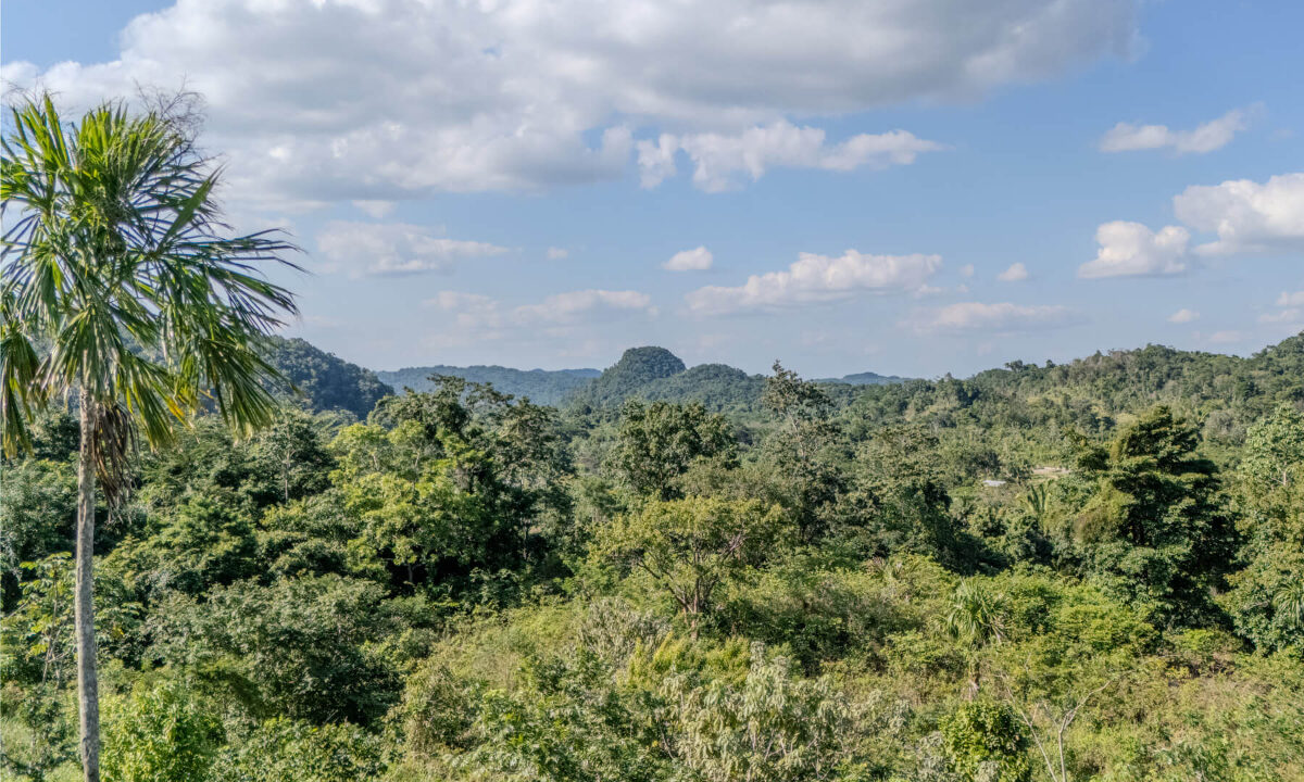 Land20for20Sale20Hummingbird20Highway20Cayo20Belize2016