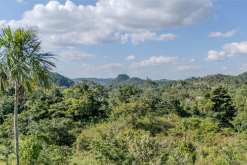 Land20for20Sale20Hummingbird20Highway20Cayo20Belize2016