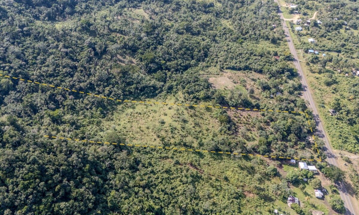 Land20for20Sale20Hummingbird20Highway20Cayo20Belize2018