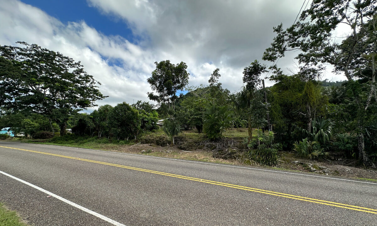 Land20for20Sale20Hummingbird20Highway20Cayo20Belize2021