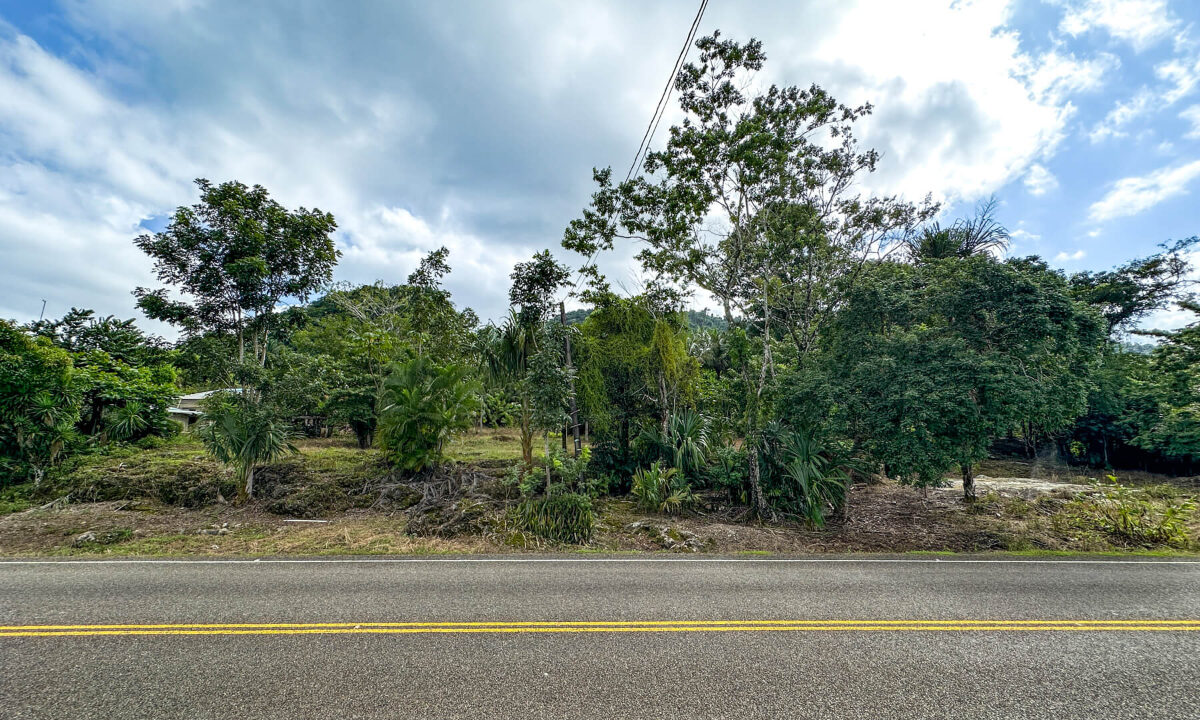 Land20for20Sale20Hummingbird20Highway20Cayo20Belize2022