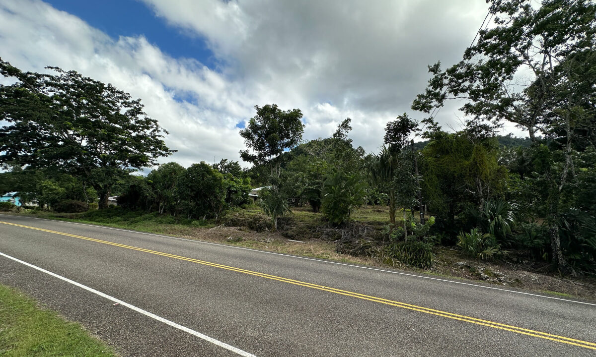 Land20for20Sale20Hummingbird20Highway20Cayo20Belize2023