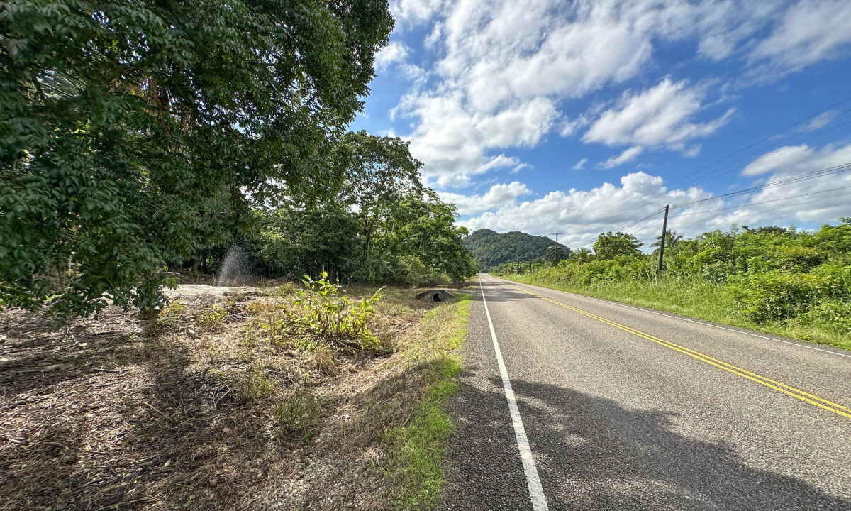 Land20for20Sale20Hummingbird20Highway20Cayo20Belize2025