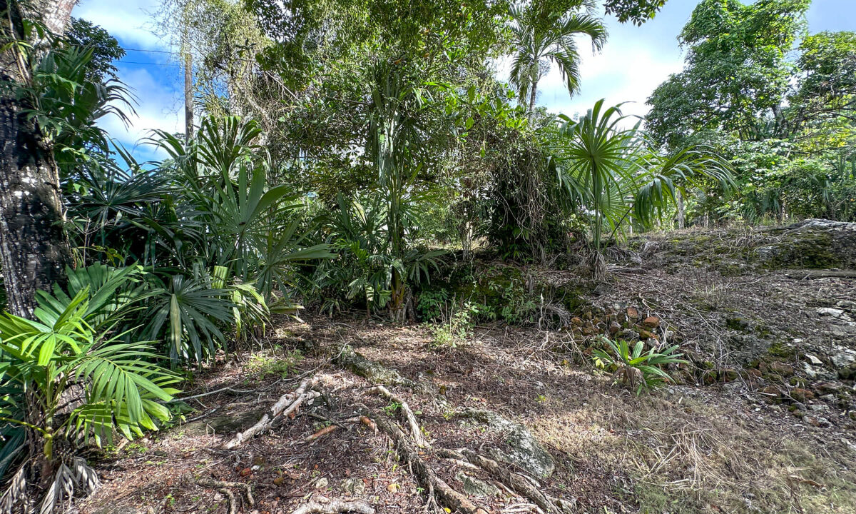 Land20for20Sale20Hummingbird20Highway20Cayo20Belize2026