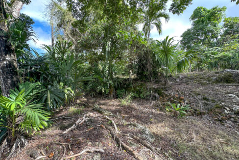 Land20for20Sale20Hummingbird20Highway20Cayo20Belize2026