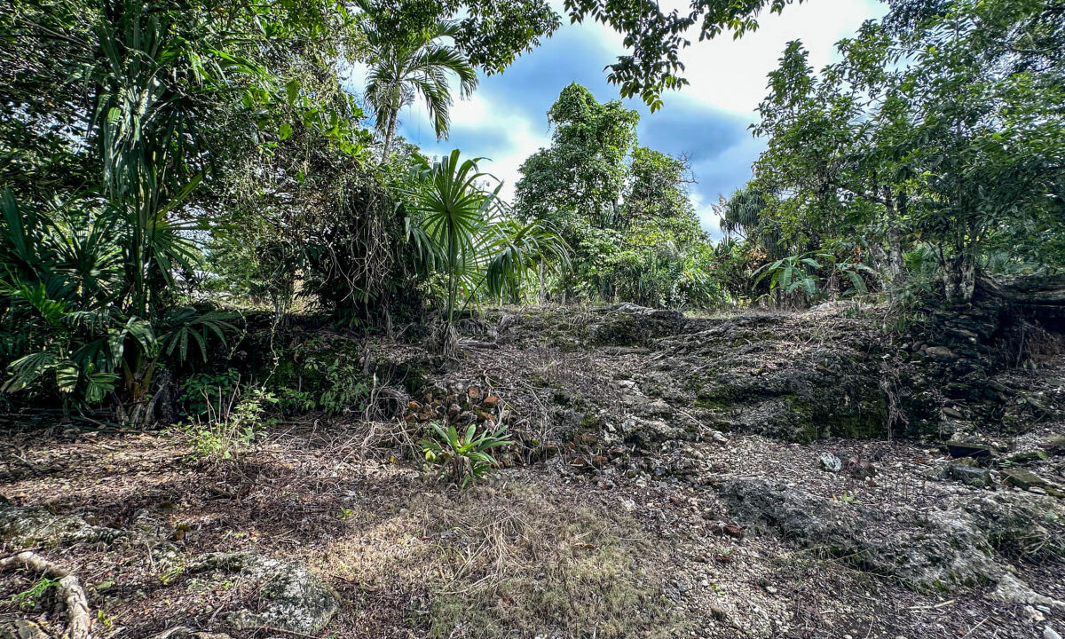 Land20for20Sale20Hummingbird20Highway20Cayo20Belize2027