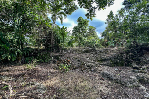 Land20for20Sale20Hummingbird20Highway20Cayo20Belize2027