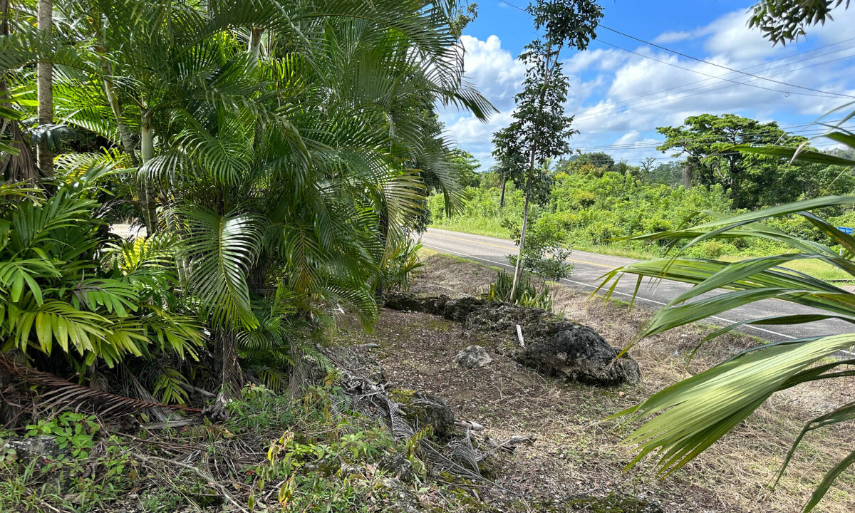 Land20for20Sale20Hummingbird20Highway20Cayo20Belize2028
