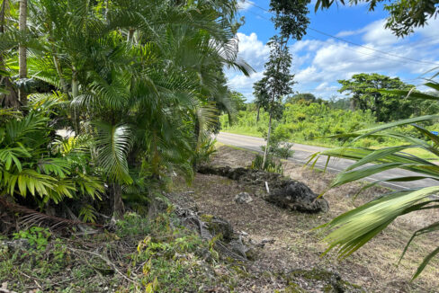 Land20for20Sale20Hummingbird20Highway20Cayo20Belize2028