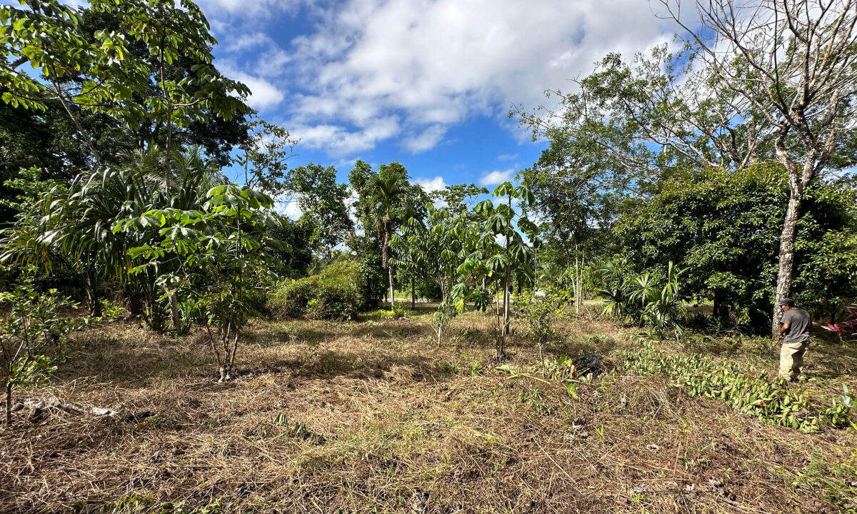 Land20for20Sale20Hummingbird20Highway20Cayo20Belize2029
