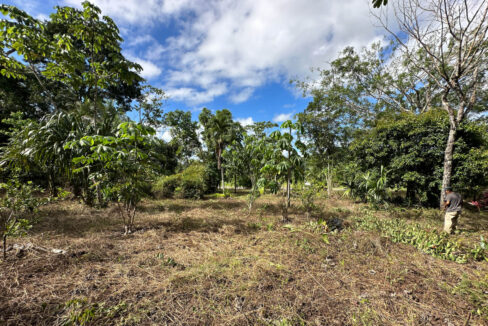 Land20for20Sale20Hummingbird20Highway20Cayo20Belize2029