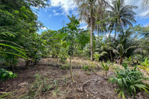 Land20for20Sale20Hummingbird20Highway20Cayo20Belize2032