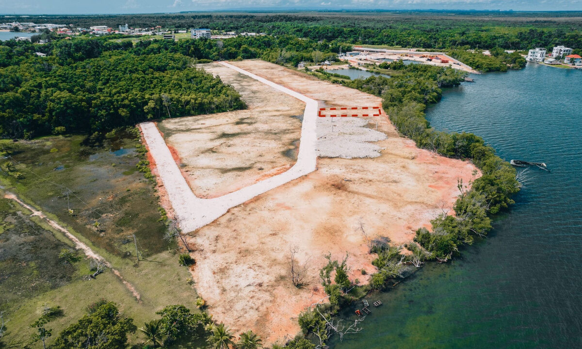Lot2022203