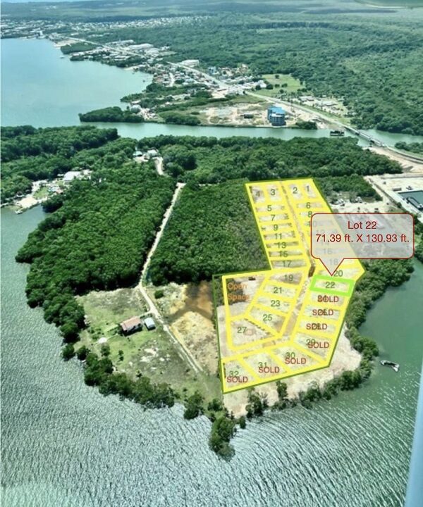 Pic20Lot2022