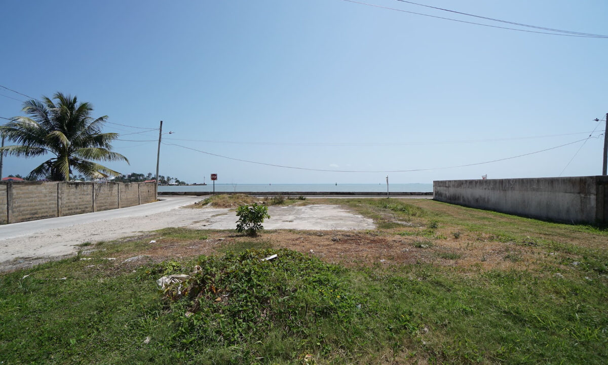 SEA03461