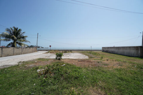 SEA03461