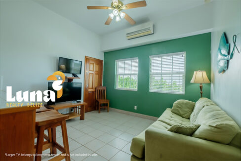 1.-C207-living-room