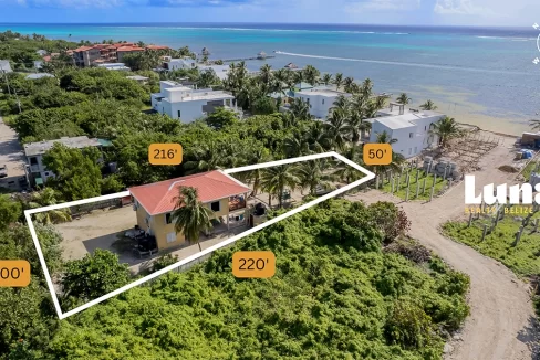 1.-Terris-home-aerial-1170x674