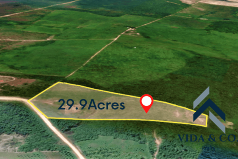 12-e1693798339858