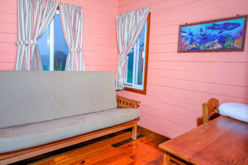 12.-Tortuga-office