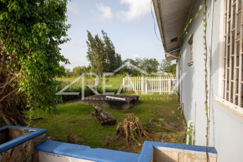 12016_114cbb82_original_21