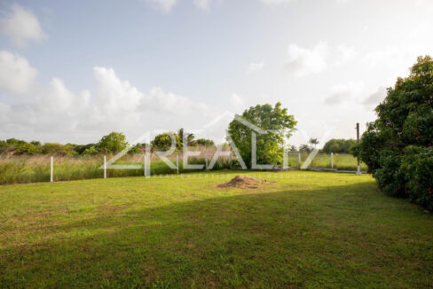 12016_1409822e_original_28