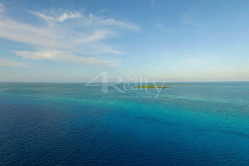 12016_1d0f189a_original_5