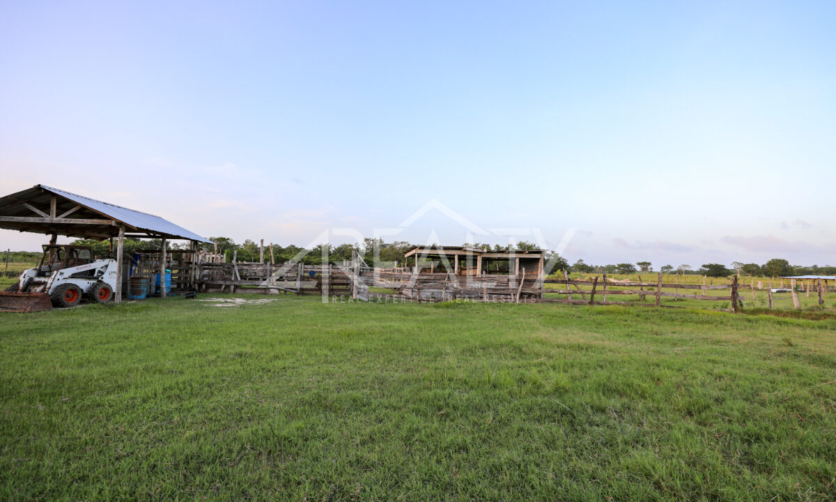 12016_1e987c04_original_5