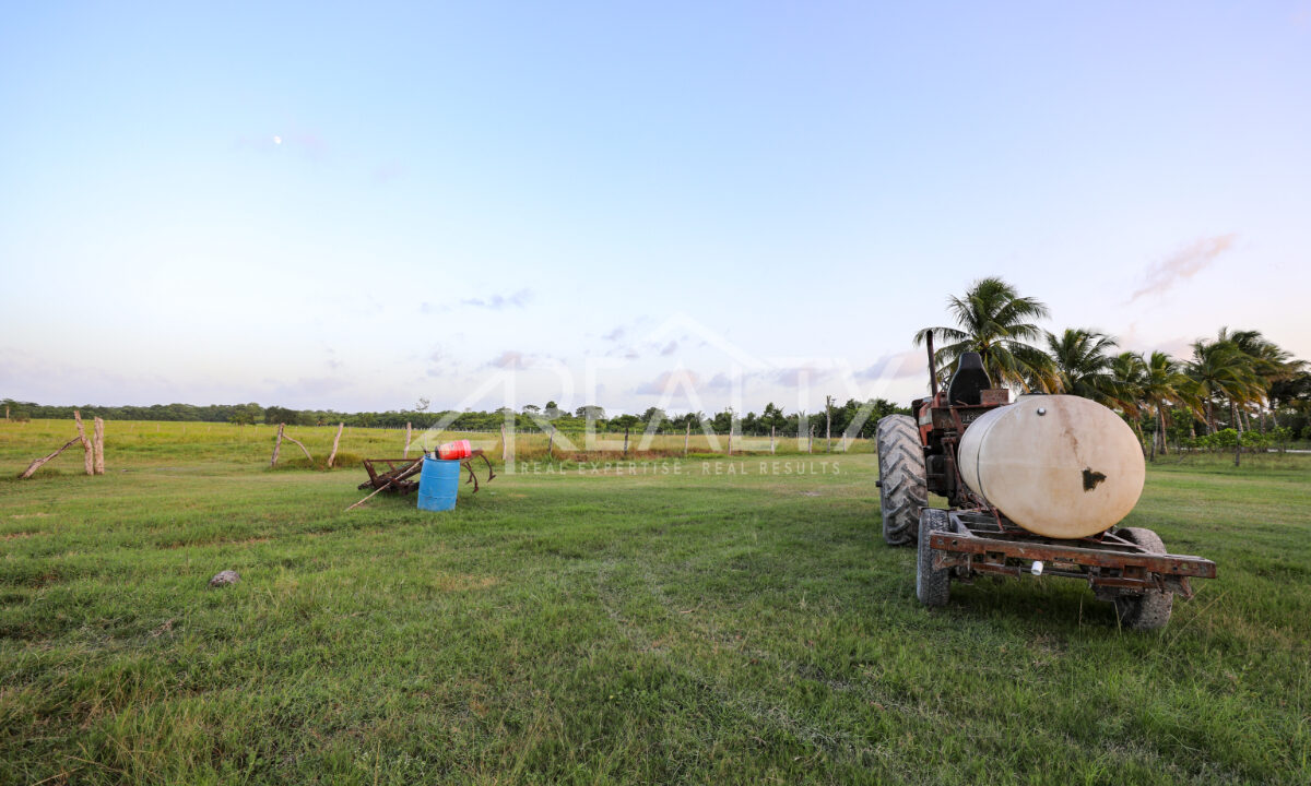 12016_2b9a5306_original_1