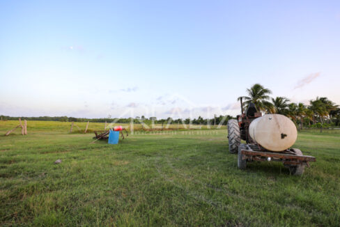 12016_2b9a5306_original_1