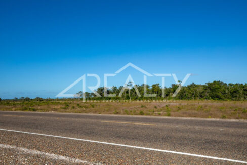 12016_4080cf52_original_2