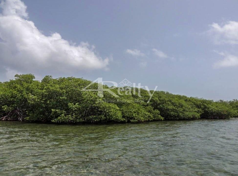 12016_47f47034_original_11