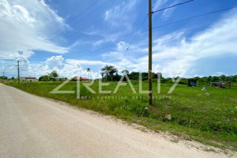 12016_4d7ec855_original_6