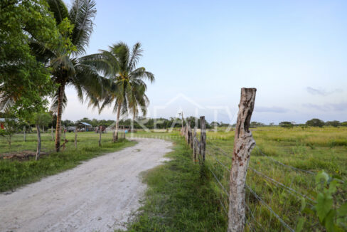 12016_5847d907_original_14