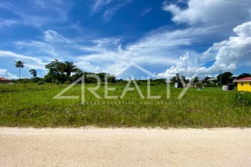 12016_795b6d57_original_5