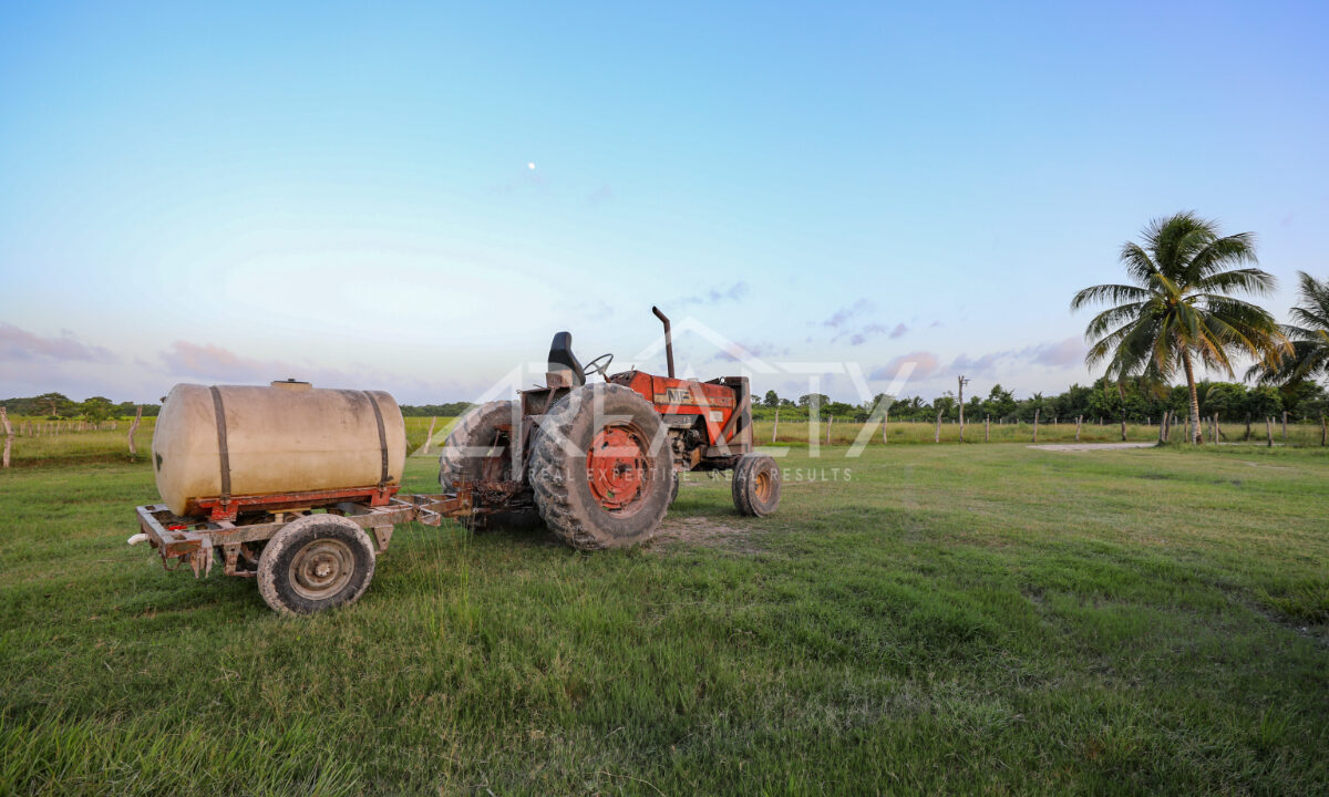 12016_85685f0d_original_8