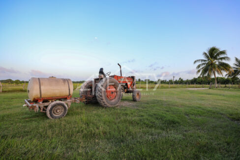 12016_85685f0d_original_8
