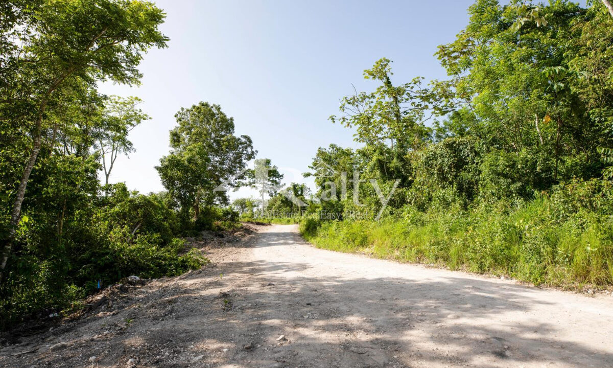 12016_9b246ea3_original_8