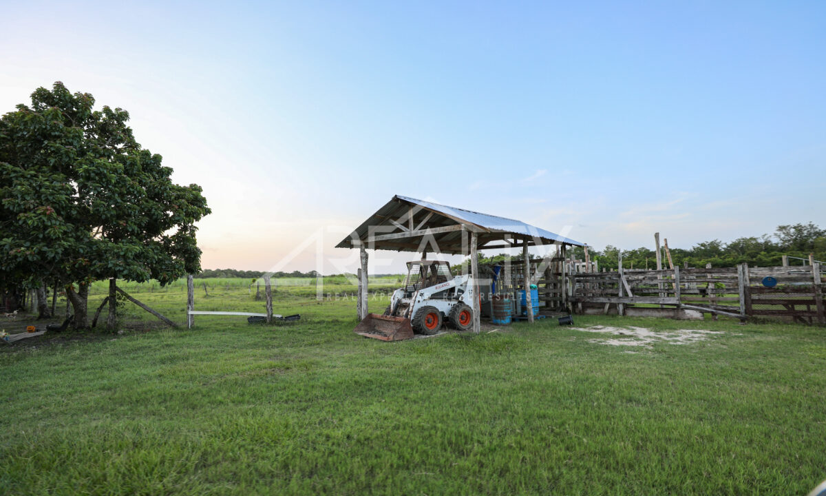 12016_ad78b001_original_12