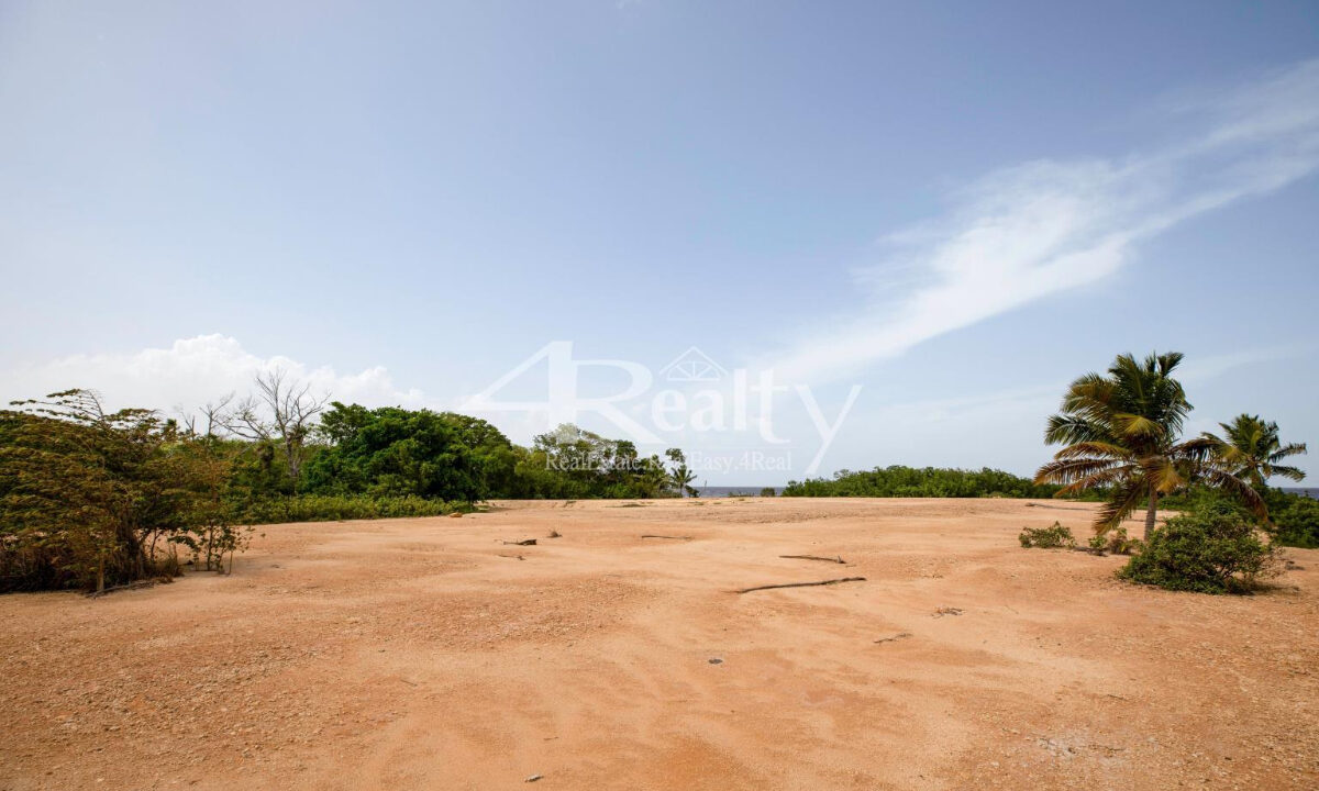 12016_afdb3e84_original