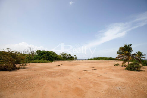 12016_afdb3e84_original