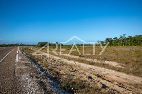 12016_b845c955_original_1