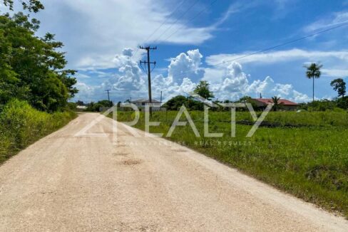 12016_bf93553e_original_7