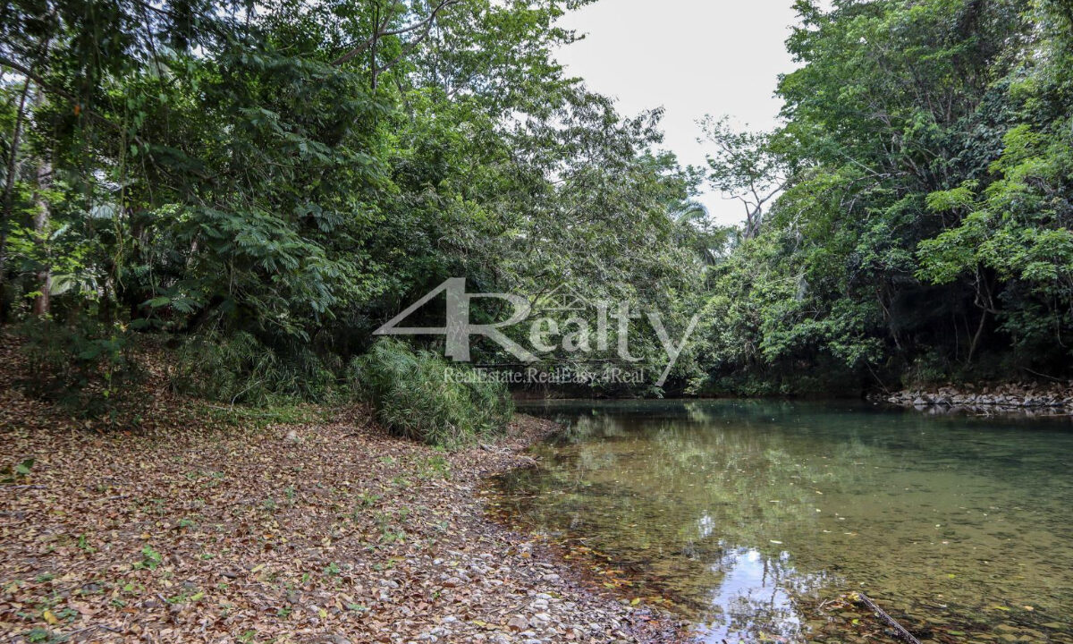 12016_c9250bd1_original_-_2024-01-02T162729.072