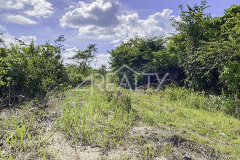 12016_cc586f4c_original_8