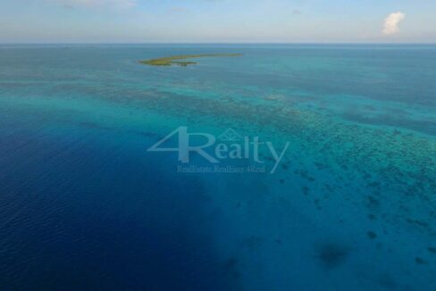 12016_d7e452e7_original_6