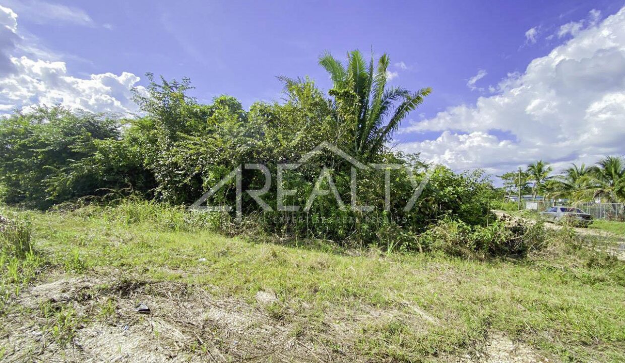 12016_f3a33afa_original_9