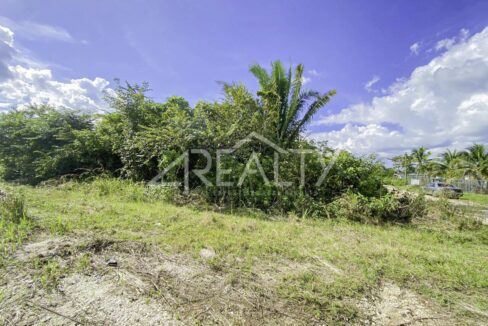 12016_f3a33afa_original_9